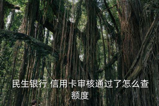  民生银行 信用卡审核通过了怎么查 额度