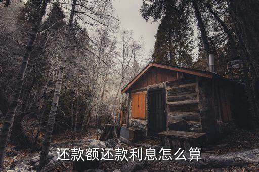 还款额还款利息怎么算