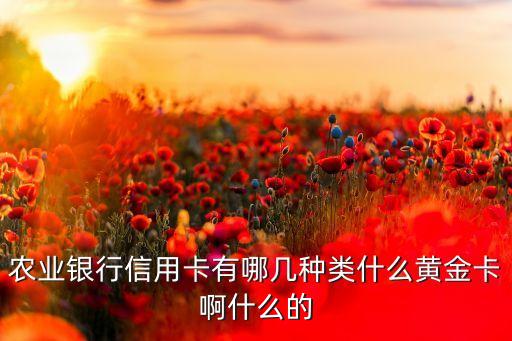 农业银行信用卡有哪几种类什么黄金卡啊什么的