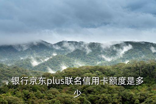 银行京东plus联名信用卡额度是多少