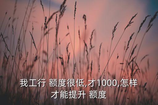 信用卡低额度提额方法,哪个信用卡提额快额度高