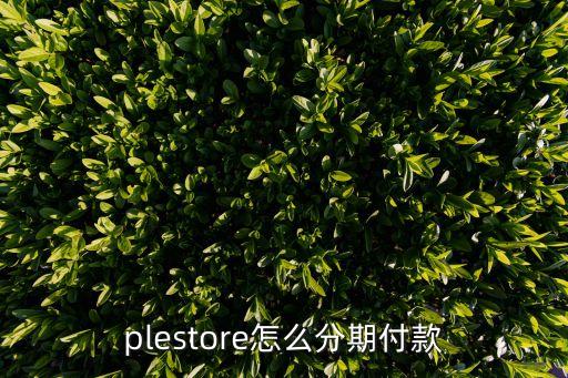 plestore怎么分期付款