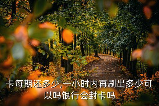 信用卡还款多出額度可以嘛,还多了可以把信用卡拿出来吗?