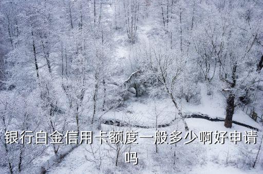 银行白金信用卡额度一般多少啊好申请吗