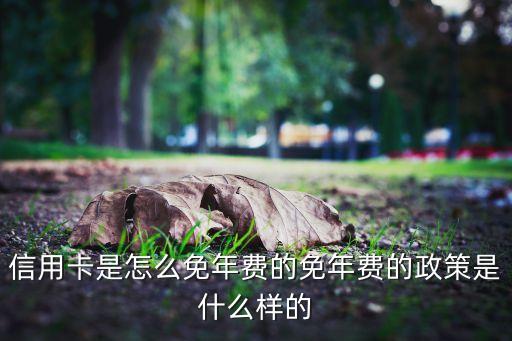 信用卡是怎么免年费的免年费的政策是什么样的