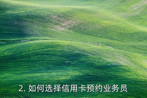 信用卡预约业务员，信用卡预约业务员：预约信用卡，轻松无忧。