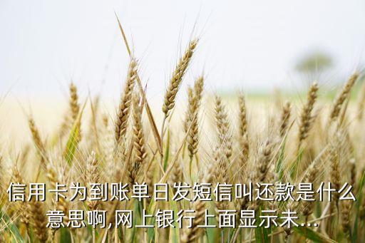 信用卡为到账单日发短信叫还款是什么意思啊,网上银行上面显示未...