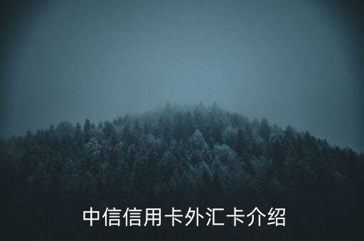 中信信用卡外汇卡介绍