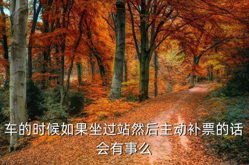 车的时候如果坐过站然后主动补票的话会有事么