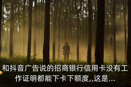 和抖音广告说的招商银行信用卡没有工作证明都能下卡下额度,,这是...