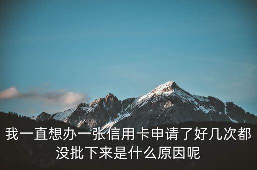 我一直想办一张信用卡申请了好几次都没批下来是什么原因呢