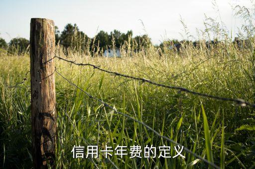 信用卡年费的定义