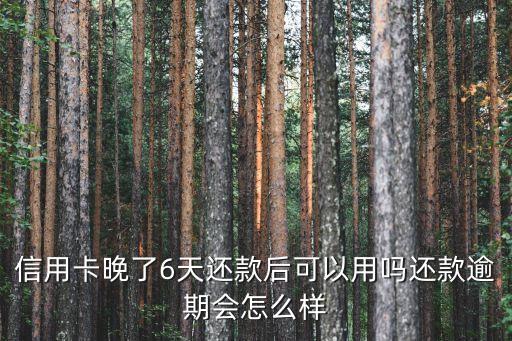 信用卡晚了6天还款后可以用吗还款逾期会怎么样