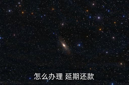 怎么办理 延期还款