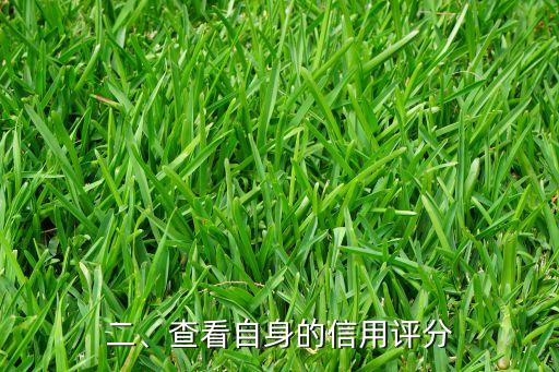 信用卡申请容易通过，信用卡申请轻松过审的新标题：轻松获批信用卡申请