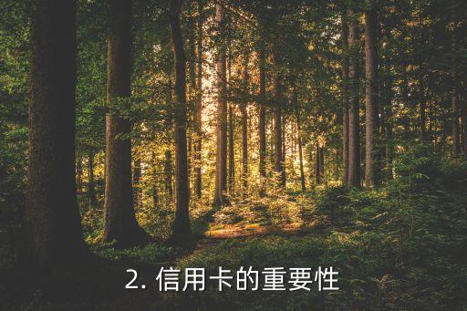信用卡的作用大吗，信用卡的重要性如何？
