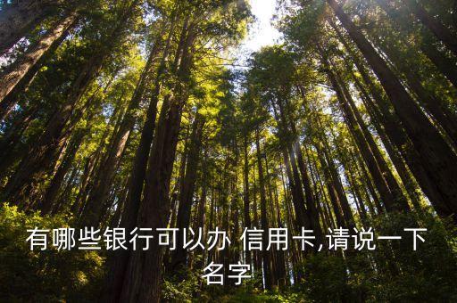 有哪些银行可以办 信用卡,请说一下名字