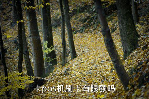 卡pos机刷卡有限额吗