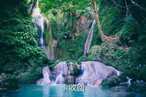 信用卡逾期积分好还吗,逾期积分可以兑换吗?
