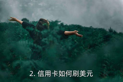 信用卡怎么刷美元，信用卡如何以美元消费