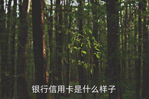 银行信用卡是什么样子