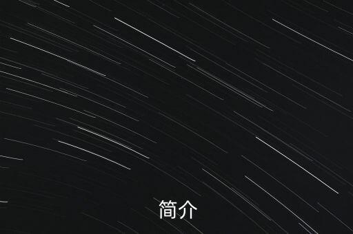 简介