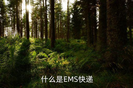 什么是EMS快递