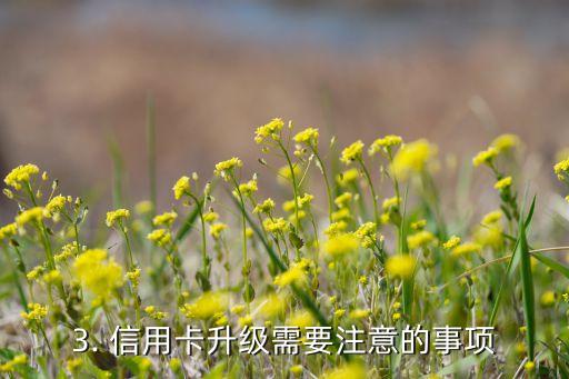 信用卡升级有用吗，信用卡升级有何实际效益？