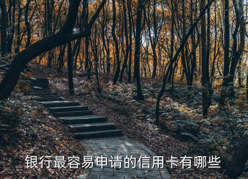 银行最容易申请的信用卡有哪些