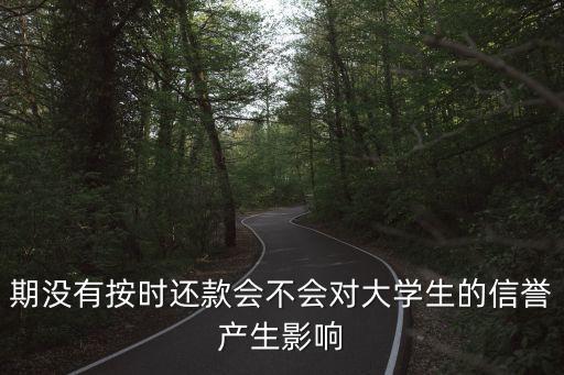 期没有按时还款会不会对大学生的信誉产生影响