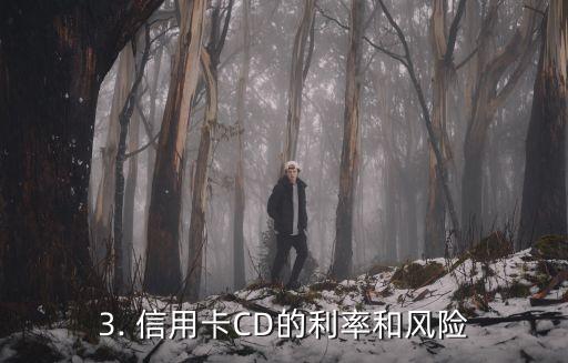 信用卡cd是什么，信用卡CD是什么？重新构思标题！