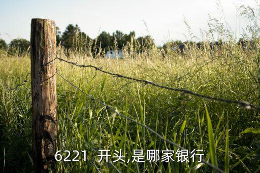 6221  开头,是哪家银行