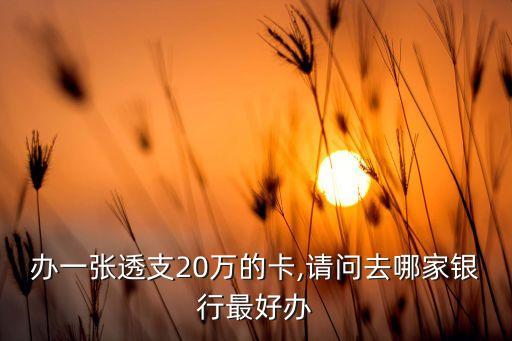 办一张透支20万的卡,请问去哪家银行最好办
