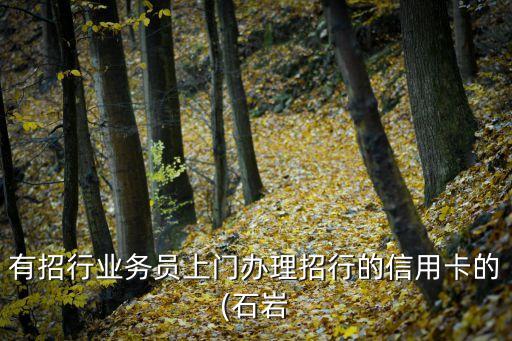 有招行业务员上门办理招行的信用卡的(石岩