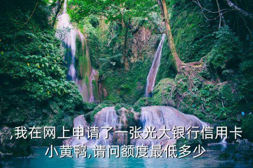 ,我在网上申请了一张光大银行信用卡小黄鸭,请问额度最低多少