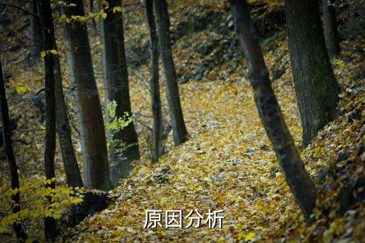 原因分析