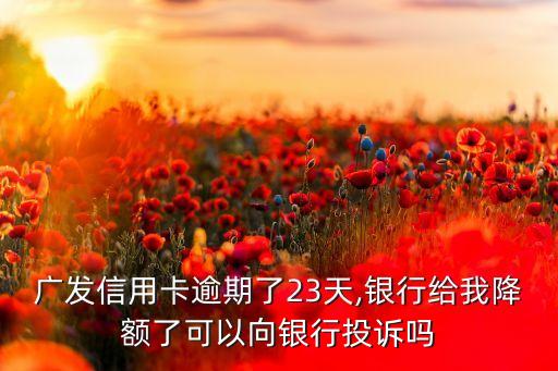 广发信用卡逾期了23天,银行给我降额了可以向银行投诉吗