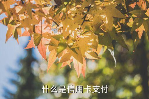 什么是信用卡支付