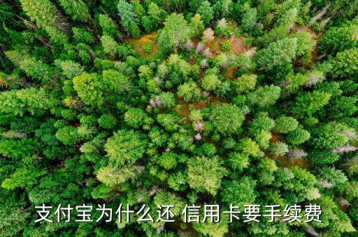 支付宝为什么还 信用卡要手续费