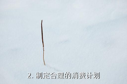 信用卡理财攻略，提高信用卡理财效率的秘诀