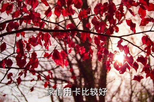 一般都申请什么信用卡好,白人家庭办什么信用卡比较容易?