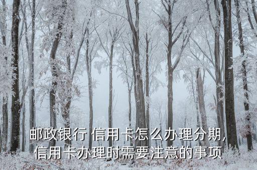  邮政银行 信用卡怎么办理分期, 信用卡办理时需要注意的事项