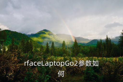 rfaceLaptopGo2参数如何