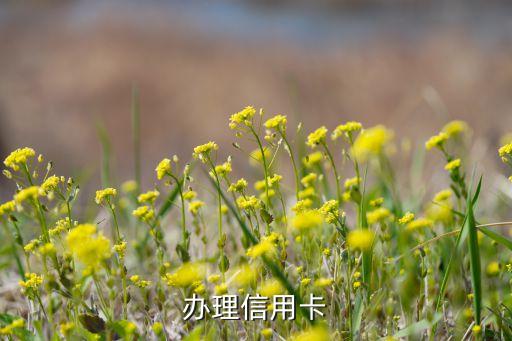 办理信用卡