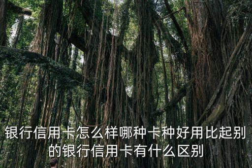 银行信用卡怎么样哪种卡种好用比起别的银行信用卡有什么区别