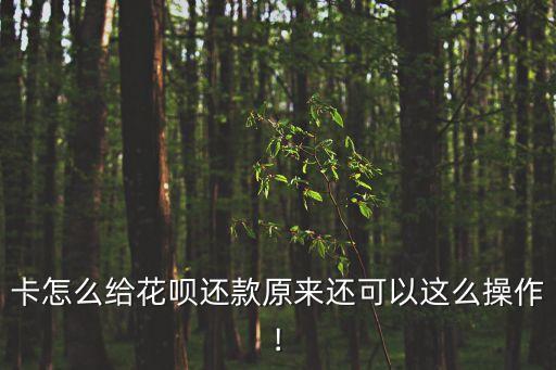 卡怎么给花呗还款原来还可以这么操作!