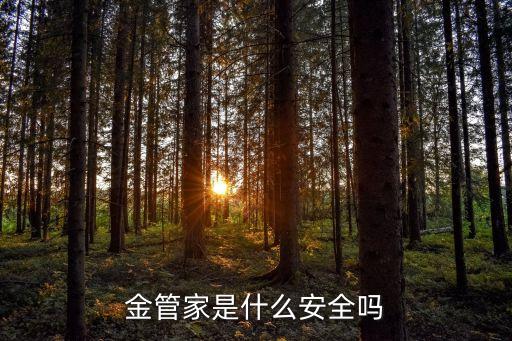 金管家是什么安全吗