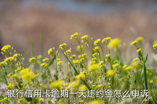 银行信用卡逾期一天违约金怎么申诉