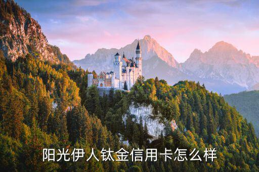 阳光伊人钛金信用卡怎么样