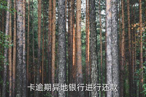 异地能办理信用卡还款吗,怎么还信用卡?
